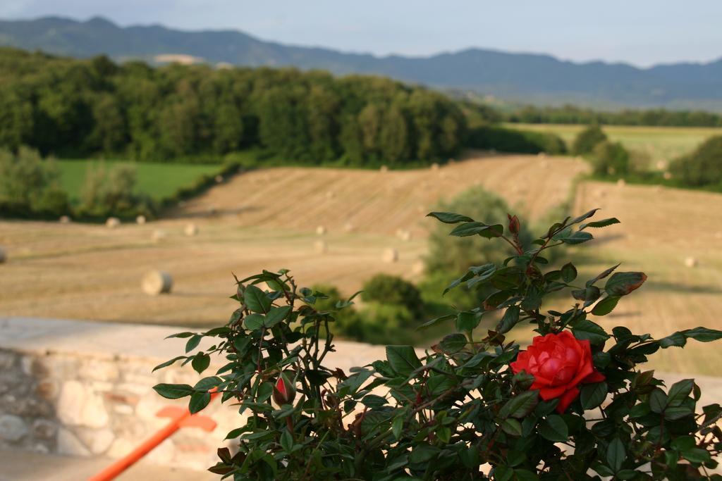 Maison d'hôtes Il Nido Di Gabbiano à Scarperia Extérieur photo