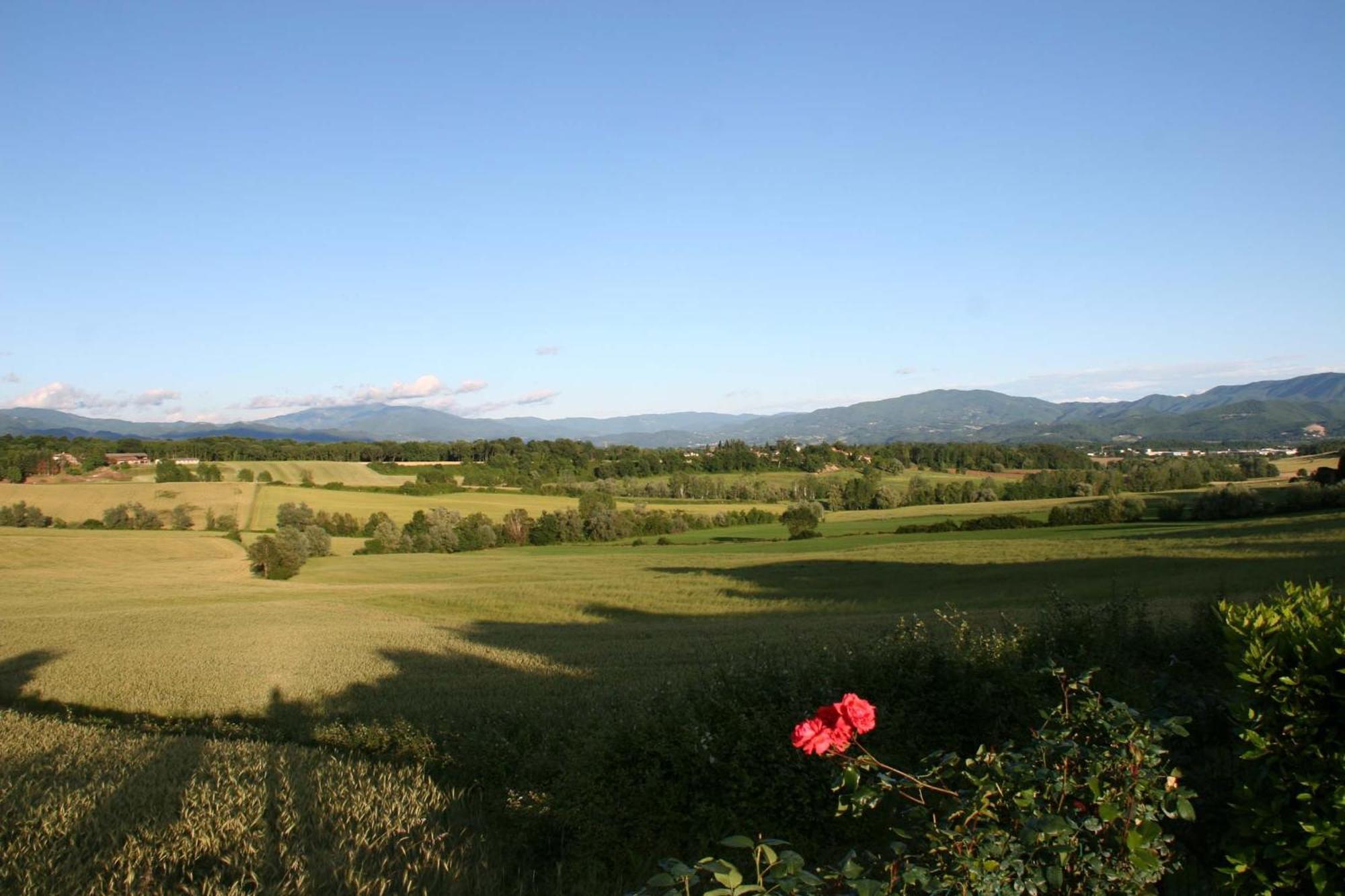 Maison d'hôtes Il Nido Di Gabbiano à Scarperia Extérieur photo