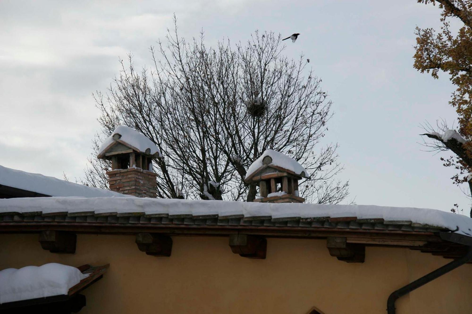 Maison d'hôtes Il Nido Di Gabbiano à Scarperia Extérieur photo
